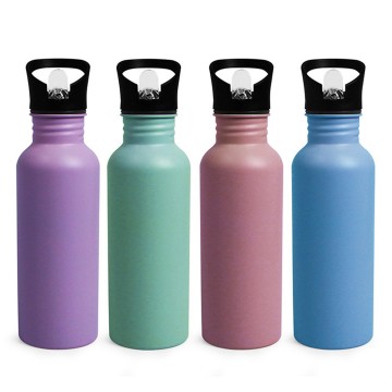 17 oz. Double-Wall Vacuum Bottle with Loop & Sip Thru Top
